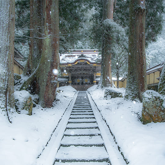 Eiheiji Zen Temple